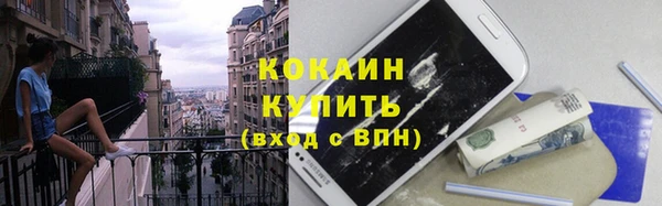 тгк Гусев