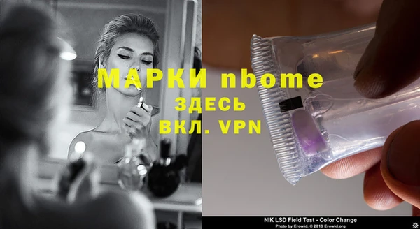 хмурый Алзамай