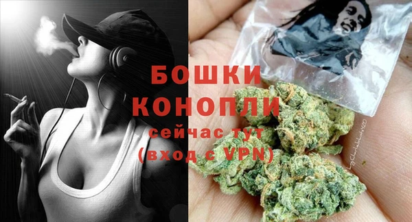 метадон Гусь-Хрустальный