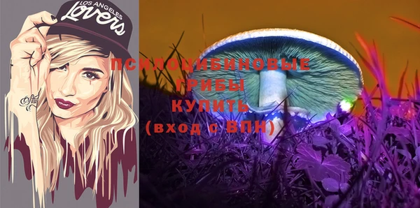 гидра Алексин