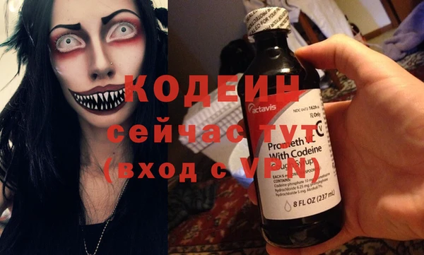 хмурый Алзамай