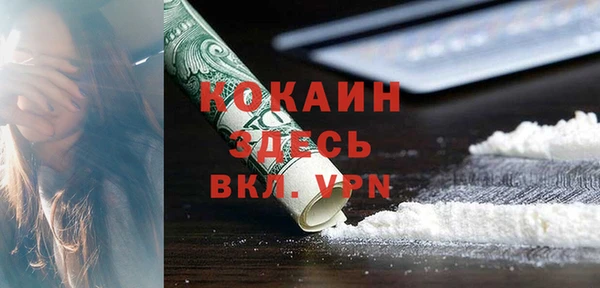 хмурый Алзамай